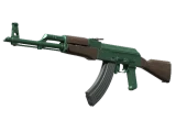 AK-47 | Зимняя зелень