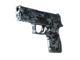 P250 | Ржавая сталь
