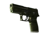 P250 | Железное покрытие