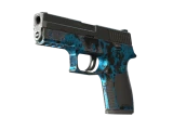 P250 | Цвета прибоя
