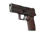 P250 | Загрязнитель
