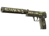 USP-S | Взгляд в прошлое