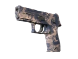 P250 | Безводье