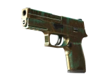 P250 | Ярь-медянка