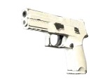 P250 | Снежная мгла