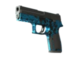 P250 | Цвета прибоя