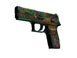 P250 | Видения