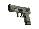 P250 | Современный охотник